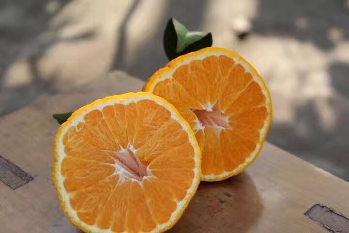 哈尔滨购物网四川不知火 俗称丑橘和丑八怪 新鲜水果 买6斤赠2斤，3月5日23:00截止总代理批发